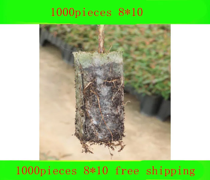 1000pcs degradable environmental grow bags protection bag plant seedlings seedling bag bag non-woven customized wholesale8*10
1000pcs degradable environmental grow bags protection bag plant seedlings seedling bag bag non-woven customized wholesale8*10