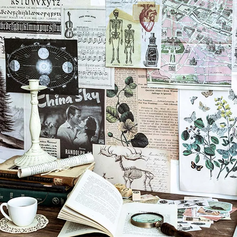 36Pcs Vintage Plants Book Stickers Children DIY Scrapbooking Album Journal Crafts Decorative Stickers Package DIY Photo Albums 
36Pcs Vintage Plants Book Stickers Children DIY Scrapbooking Album Journal Crafts Decorative Stickers Package DIY Photo Albums