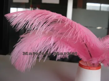 Free Shipping 100 pcs 8-10inch(20-25cm) Light pink Ostrich Feathers for Wedding Decoration centerpice table centerpiece
Free Shipping 100 pcs 8-10inch(20-25cm) Light pink Ostrich Feathers for Wedding Decoration centerpice table centerpiece