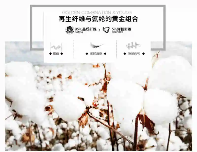 New Men's Boxers Underwear Shorts Cotton Man Soft Breathable Comfortable Panties Elastic Waistband Male Underpants Solid Color L-XXXL (8)