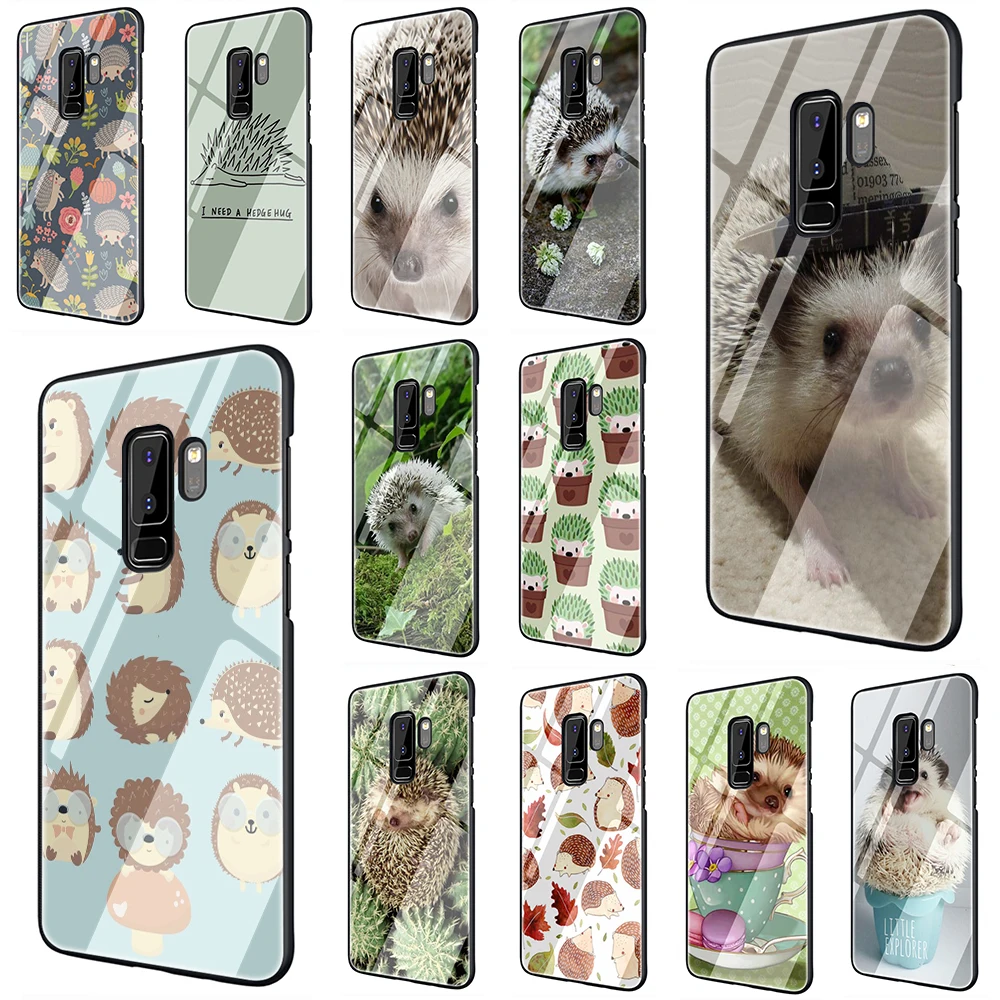 Cute Hedgehog Tempered Glass TPU Black Cover Case for Samsung S7 Edge S8 S9 S10 Note 8 9 10 plus A10 20 30 40 50 60 70
Cute Hedgehog Tempered Glass TPU Black Cover Case for Samsung S7 Edge S8 S9 S10 Note 8 9 10 plus A10 20 30 40 50 60 70