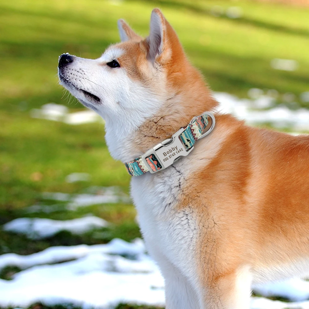 Dog Collar with Name Nylon Printed Personalized Pet Puppy Collar Dog Id Collars Free Engraved Id for Small Medium Large Dogs
Dog Collar with Name Nylon Printed Personalized Pet Puppy Collar Dog Id Collars Free Engraved Id for Small Medium Large Dogs