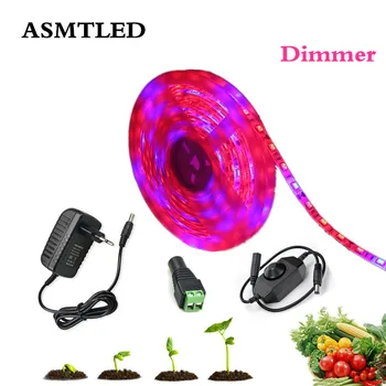 Plant Grow light Full Spectrum LED Strip Flower phyto lamp Dimmable Red blue 4:1/3:1/5:1 for Greenhouse Hydroponic+Power adapter
Plant Grow light Full Spectrum LED Strip Flower phyto lamp Dimmable Red blue 4:1/3:1/5:1 for Greenhouse Hydroponic+Power adapter