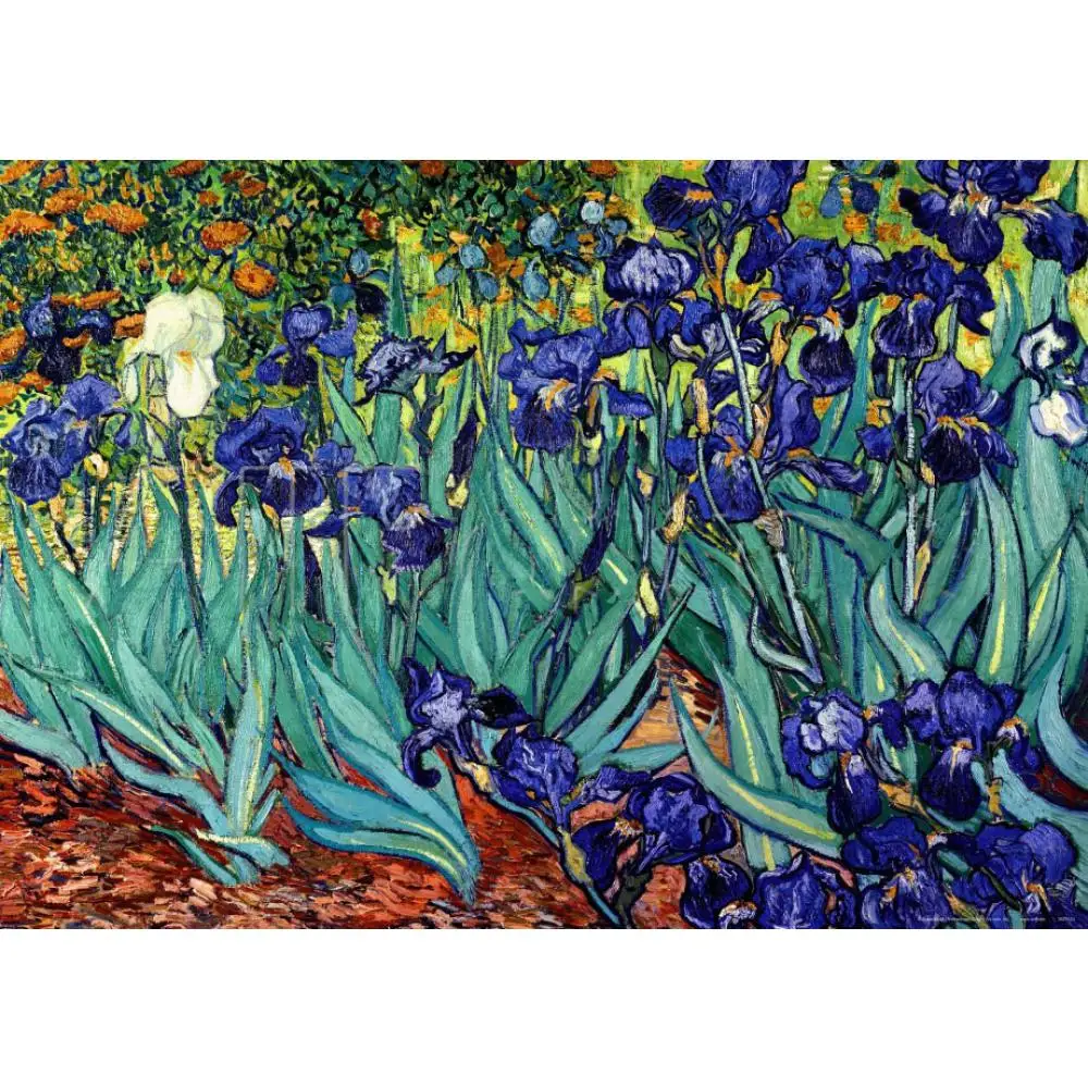Handmade Canvas Art Irises Vincent Van Gogh Paintings Modern Flower Oil Artwork for Bedroom Wall Decor Christmas Gift Quality
Handmade Canvas Art Irises Vincent Van Gogh Paintings Modern Flower Oil Artwork for Bedroom Wall Decor Christmas Gift Quality