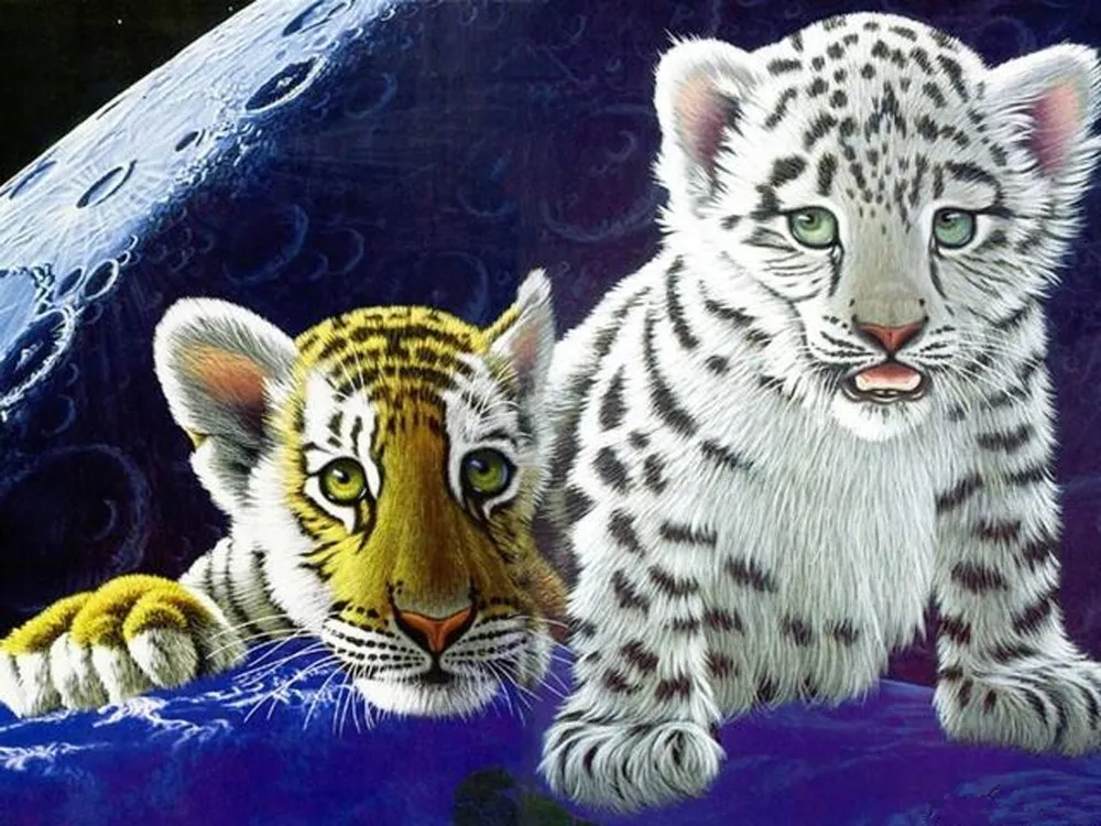 5d diy diamond painting dieren tiger diamond painting accessories broderie diamant childeren diamant painting
5d diy diamond painting dieren tiger diamond painting accessories broderie diamant childeren diamant painting
