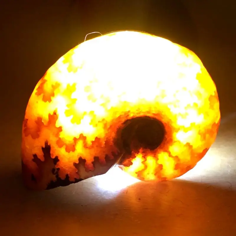 Natural Stone Ammonite Fossils Seashell Snail Pendants Loose Gemstone Beads DIY
Natural Stone Ammonite Fossils Seashell Snail Pendants Loose Gemstone Beads DIY