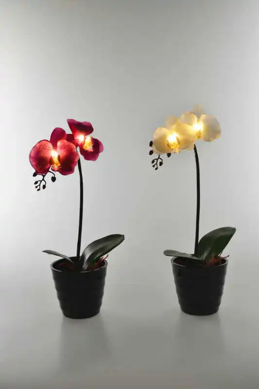 Free Shipping 40cm 2Led Blossom Orchid Flower Light with 2*AA Battery pot ,Height of 40cm 2 Blossom Orchid Flowers with buds
Free Shipping 40cm 2Led Blossom Orchid Flower Light with 2*AA Battery pot ,Height of 40cm 2 Blossom Orchid Flowers with buds