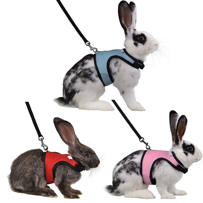 4 Colors Hamster Rabbit Pet Harness with Lead Set Ferret Guinea Pig Small Animal Pet Walk Lead Leash Bunny Little Pets XS-L
4 Colors Hamster Rabbit Pet Harness with Lead Set Ferret Guinea Pig Small Animal Pet Walk Lead Leash Bunny Little Pets XS-L