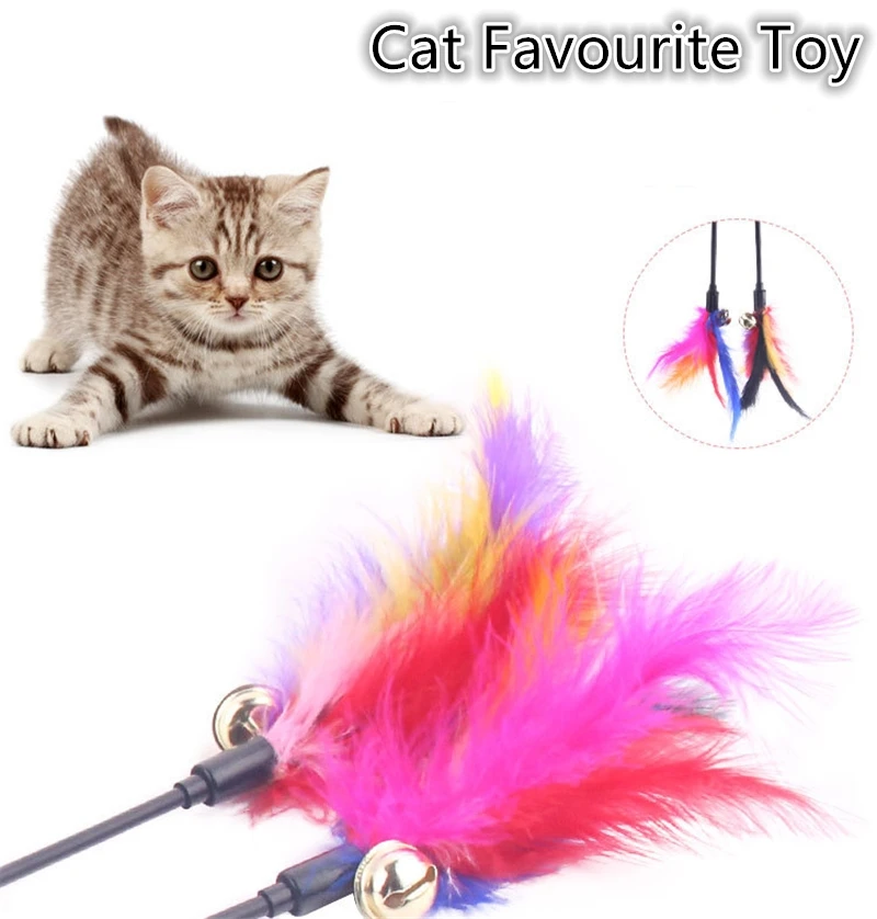 Necessary Cat Lovely Toys Cat Stick Interactive Squeak Feather Toys Pet Amusement Toys Cat Funny Toys When Playing With Children
Necessary Cat Lovely Toys Cat Stick Interactive Squeak Feather Toys Pet Amusement Toys Cat Funny Toys When Playing With Children