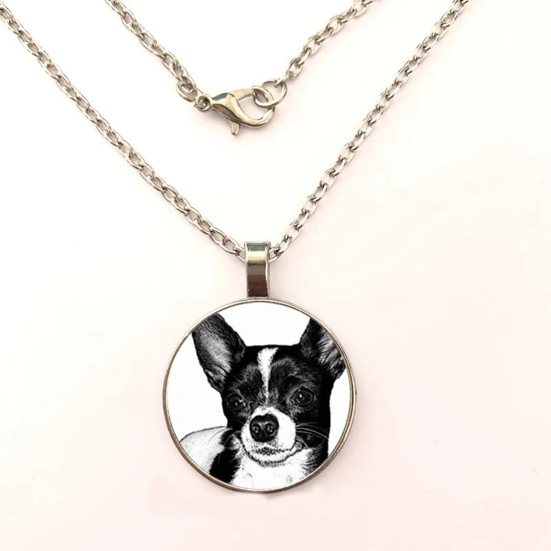 Trendy Cute Chihuahua Dog Silver Necklace Glass Dome Car Chain Fashion Anime Cartoon Jewelry Unique Women Pendant Necklace
Trendy Cute Chihuahua Dog Silver Necklace Glass Dome Car Chain Fashion Anime Cartoon Jewelry Unique Women Pendant Necklace