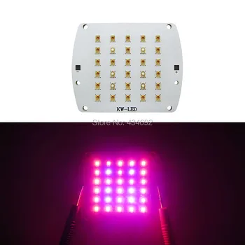 Customize DIY Rebel 24PCS Red Orange 610-620NM + 6PCS Royal Blue 450-455NM 21-24V 1500-2000mA Plant Grow Led Emitter Lamp Light
Customize DIY Rebel 24PCS Red Orange 610-620NM + 6PCS Royal Blue 450-455NM 21-24V 1500-2000mA Plant Grow Led Emitter Lamp Light