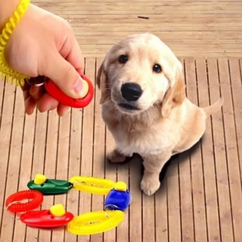 1/2/3/4/5PCS Pet Cat Training Clicker Plastic New Dogs Trainer Aid Too Adjustable Wrist Strap Sound Key Chain
1/2/3/4/5PCS Pet Cat Training Clicker Plastic New Dogs Trainer Aid Too Adjustable Wrist Strap Sound Key Chain