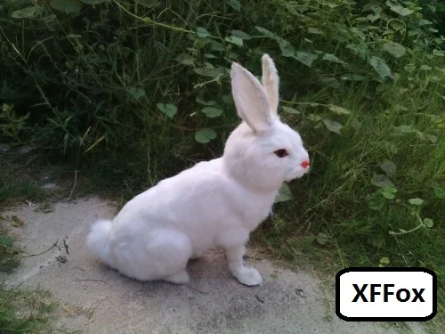 HTB1KaheLpXXXXbJXpXXq6xXFXXXb