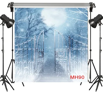 LB Polyester & Vinyl Fairytale ice world Iron gate Snowy Backdrops Background For Photography Studio Backdrop Photo Props Decor
LB Polyester & Vinyl Fairytale ice world Iron gate Snowy Backdrops Background For Photography Studio Backdrop Photo Props Decor