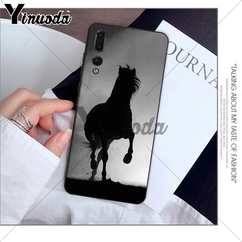 andalusian horse