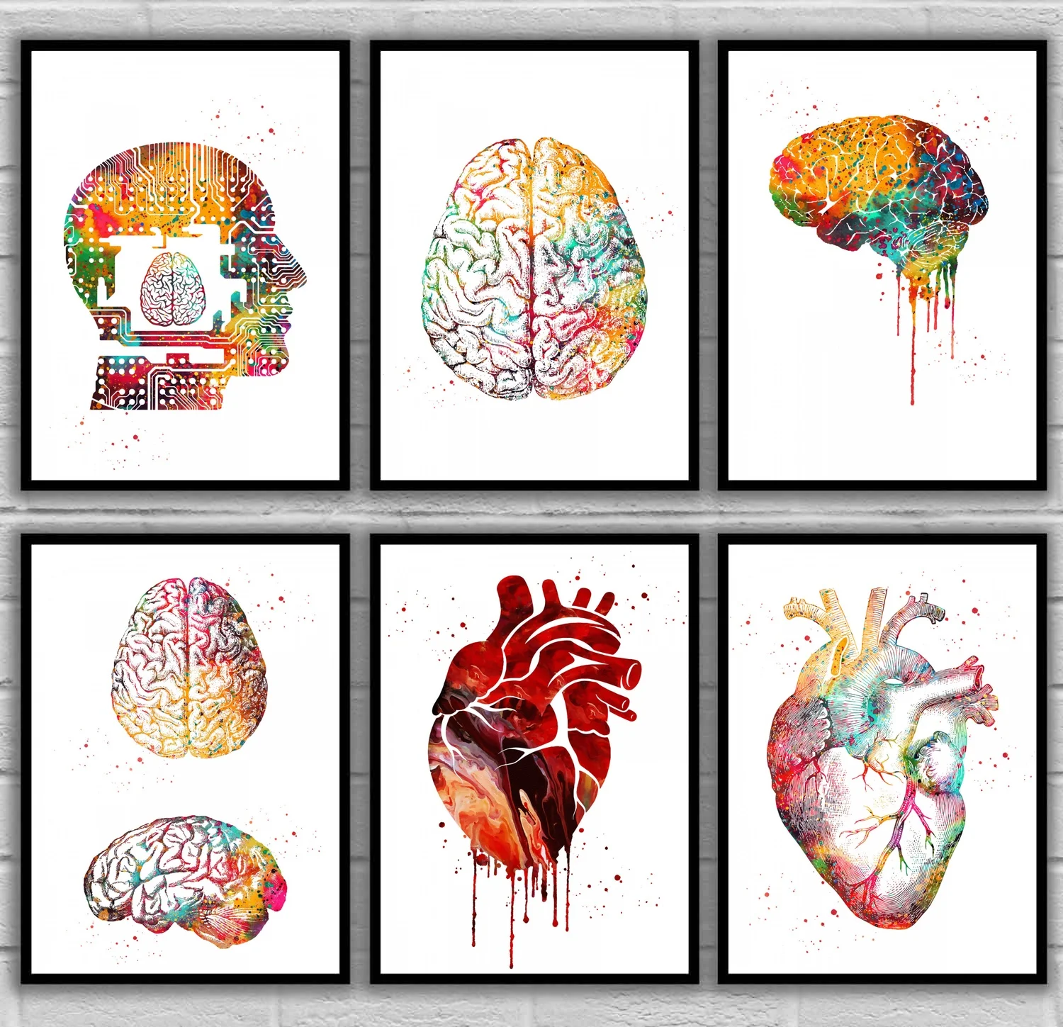 Brain Ear Hair Head Heart Lungs Mouth Muscle Spine Spine with Brain Teeth Tooth Anatomical Medical And Science Poster
Brain Ear Hair Head Heart Lungs Mouth Muscle Spine Spine with Brain Teeth Tooth Anatomical Medical And Science Poster