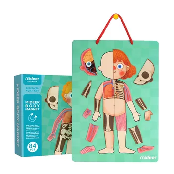 New Children early education Magnetic human body structure cognitive puzzle Muscle Bone Organ cognition intelligent creative toy
New Children early education Magnetic human body structure cognitive puzzle Muscle Bone Organ cognition intelligent creative toy