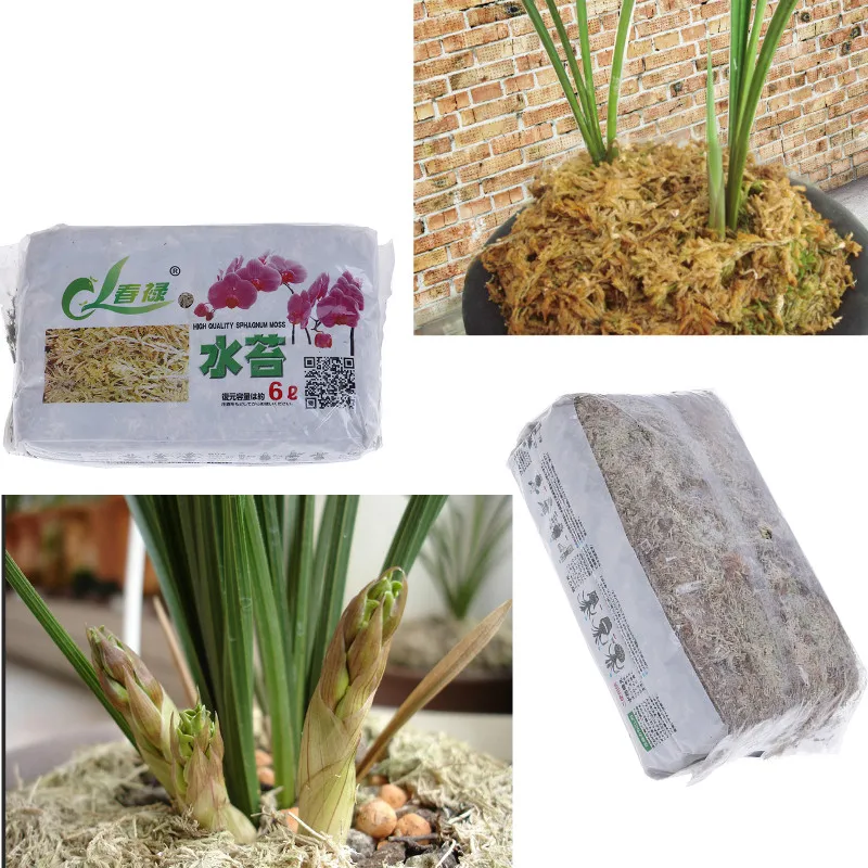 6L Sphagnum Moss Garden Supplies Moss Sphagnum Moisturizing Nutrition Organic Fertilizer For Orchid Phalaenopsis Musgo Sphagnum
6L Sphagnum Moss Garden Supplies Moss Sphagnum Moisturizing Nutrition Organic Fertilizer For Orchid Phalaenopsis Musgo Sphagnum