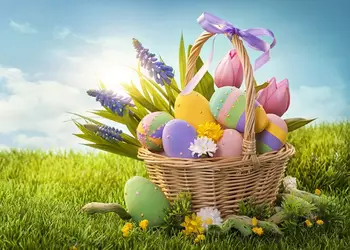 VinylBDS photography background 200CM*150CM New arrival Grass baskets photo studio Easter day zzj15
VinylBDS photography background 200CM*150CM New arrival Grass baskets photo studio Easter day zzj15