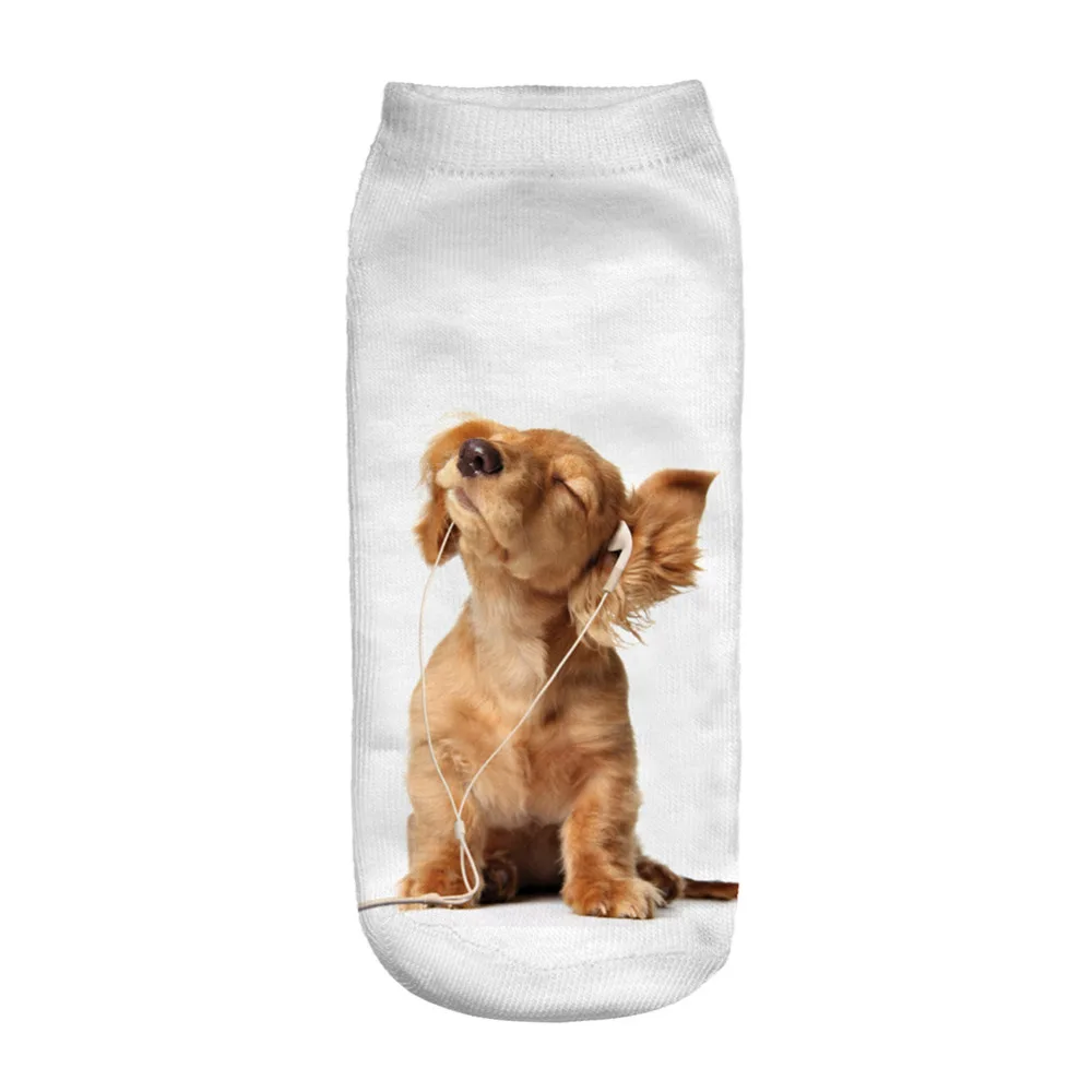 New 3D Cute A Dog Enjoying Music Printed Socks