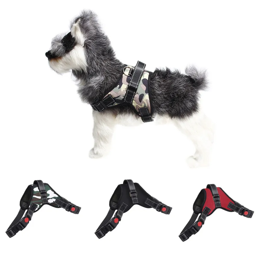 1Pcs Chest Straps Basic Halter Harnesses Pet Adjustable Vest Chest Strap Walking Traction For Small Medium Dogs S~XL &
1Pcs Chest Straps Basic Halter Harnesses Pet Adjustable Vest Chest Strap Walking Traction For Small Medium Dogs S~XL &