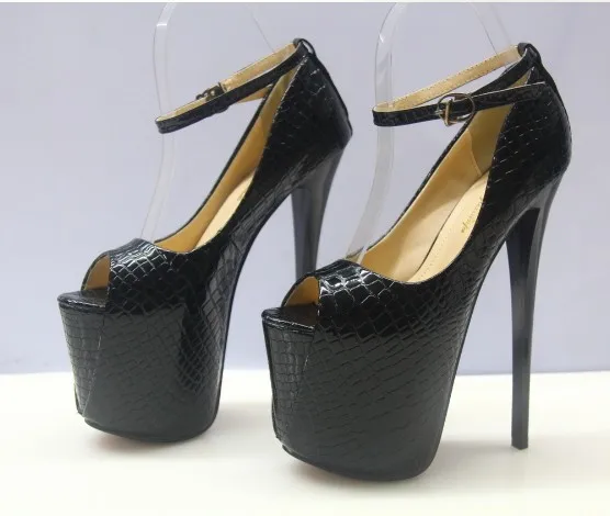 4540118440_511216355