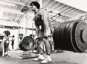 1474B GYM Franco Columbu Body Building Muscle Exercise-Wall Sticker Silk Poster Light Canvas Decoration
1474B GYM Franco Columbu Body Building Muscle Exercise-Wall Sticker Silk Poster Light Canvas Decoration