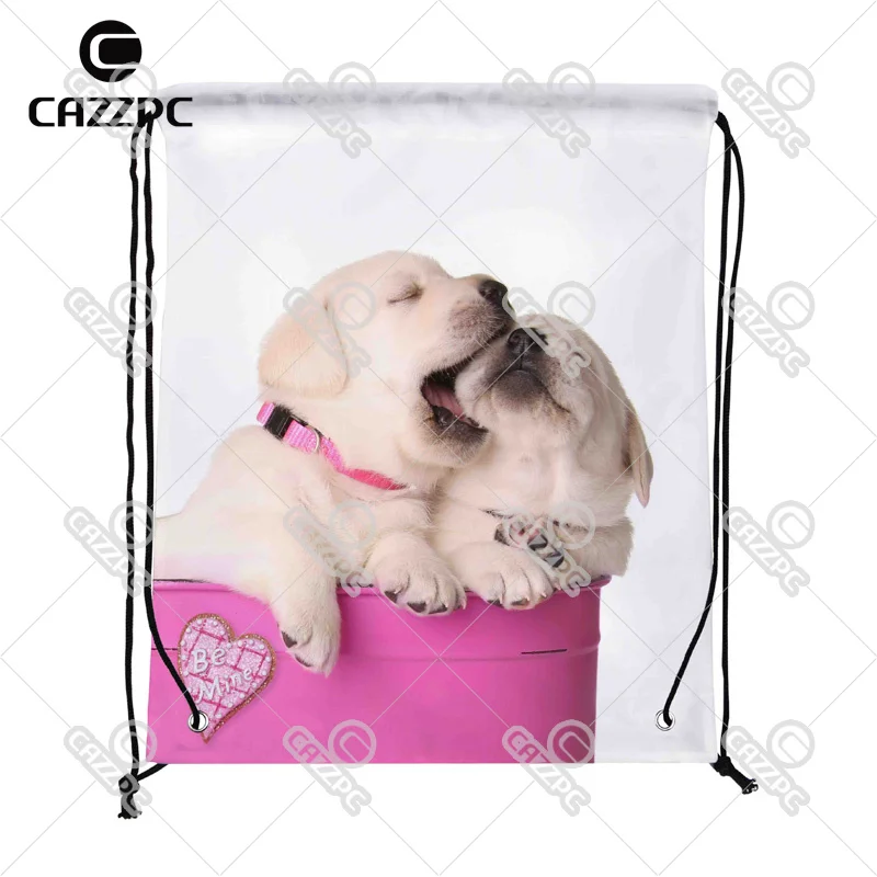 Cute Valentine Puppies Dog pet in a Pink Container a Heart Print Custom Nylon Fabric Drawstring Shoes Storage Dust Bag Pack of 4
Cute Valentine Puppies Dog pet in a Pink Container a Heart Print Custom Nylon Fabric Drawstring Shoes Storage Dust Bag Pack of 4