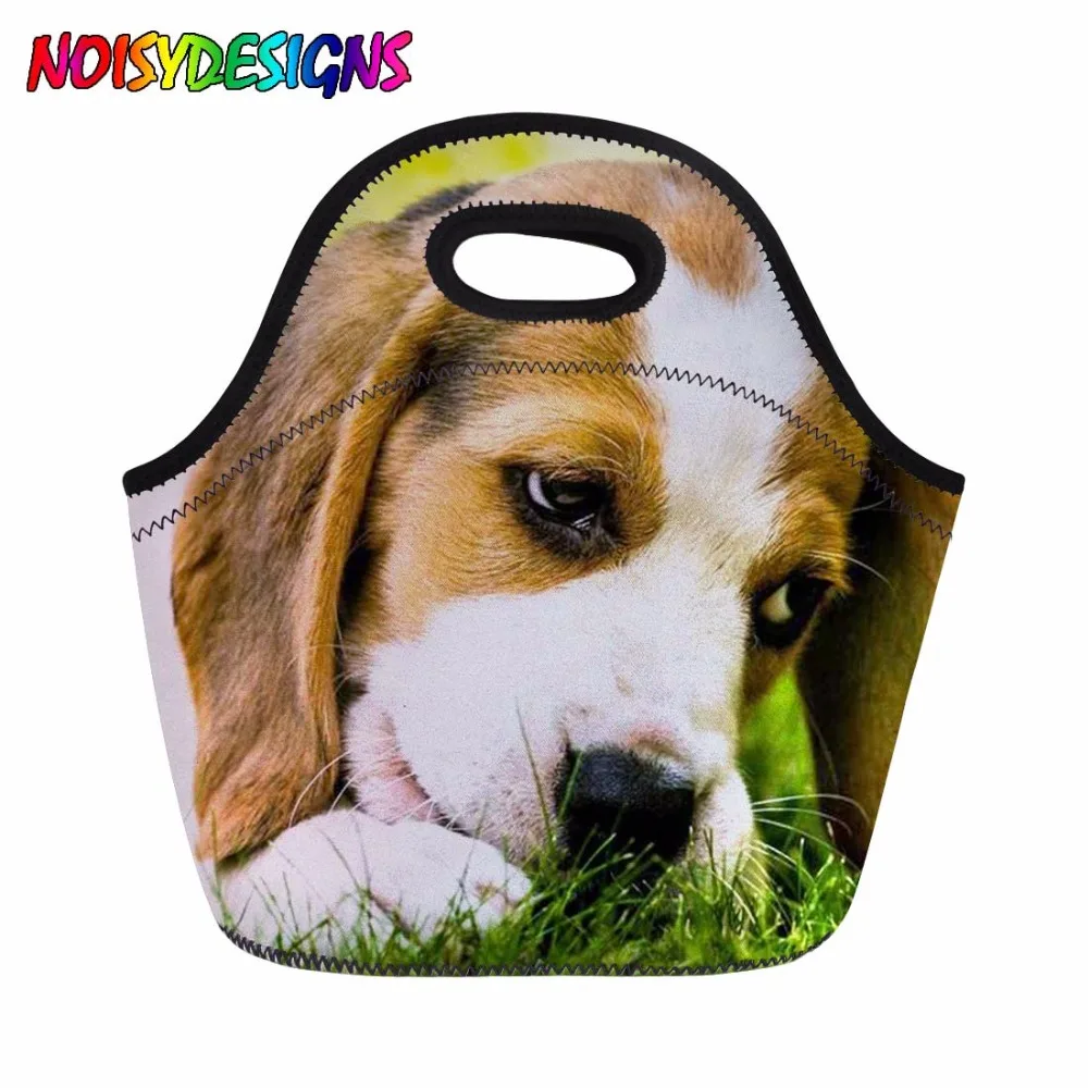 Beagle Dog Pattern Lunch Bag Thermal Lunch Box Women Handle Bags Tote Storage for Kids Girls Lancheira Escolar Bolsos Mujer
Beagle Dog Pattern Lunch Bag Thermal Lunch Box Women Handle Bags Tote Storage for Kids Girls Lancheira Escolar Bolsos Mujer