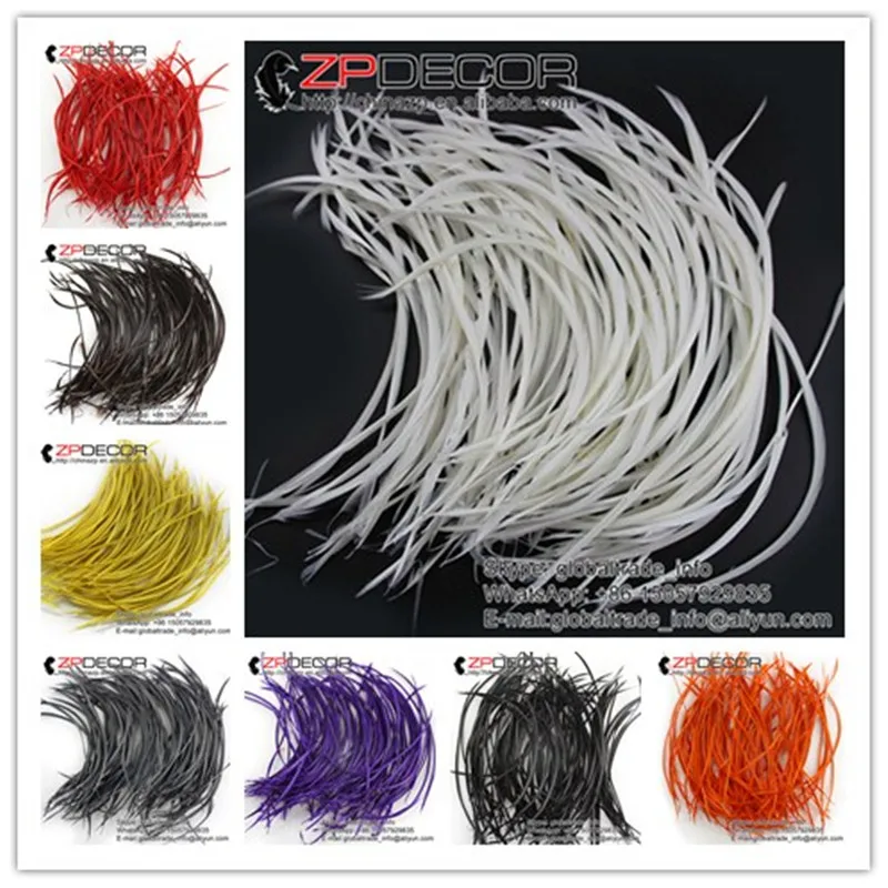 ZPDECOR 200pcs/lot 20-25cm(8-10inch) Hand Select Premium Vibrant White Large Biot Goose Feathers For Carnival Headdress Decor
ZPDECOR 200pcs/lot 20-25cm(8-10inch) Hand Select Premium Vibrant White Large Biot Goose Feathers For Carnival Headdress Decor