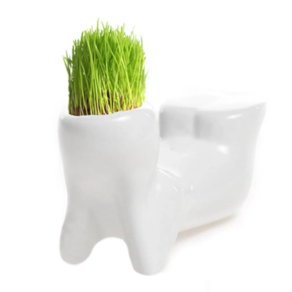 Flower Pot 4 Post cozy Little Hobbit Shaped DIY Mini Novel Bonsai Grass Doll Hair White Lazy Man Plant Garden Z07 DropShipping
Flower Pot 4 Post cozy Little Hobbit Shaped DIY Mini Novel Bonsai Grass Doll Hair White Lazy Man Plant Garden Z07 DropShipping