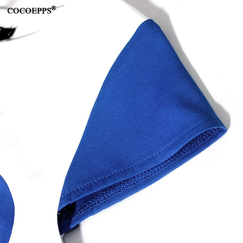 COCOEPPS14