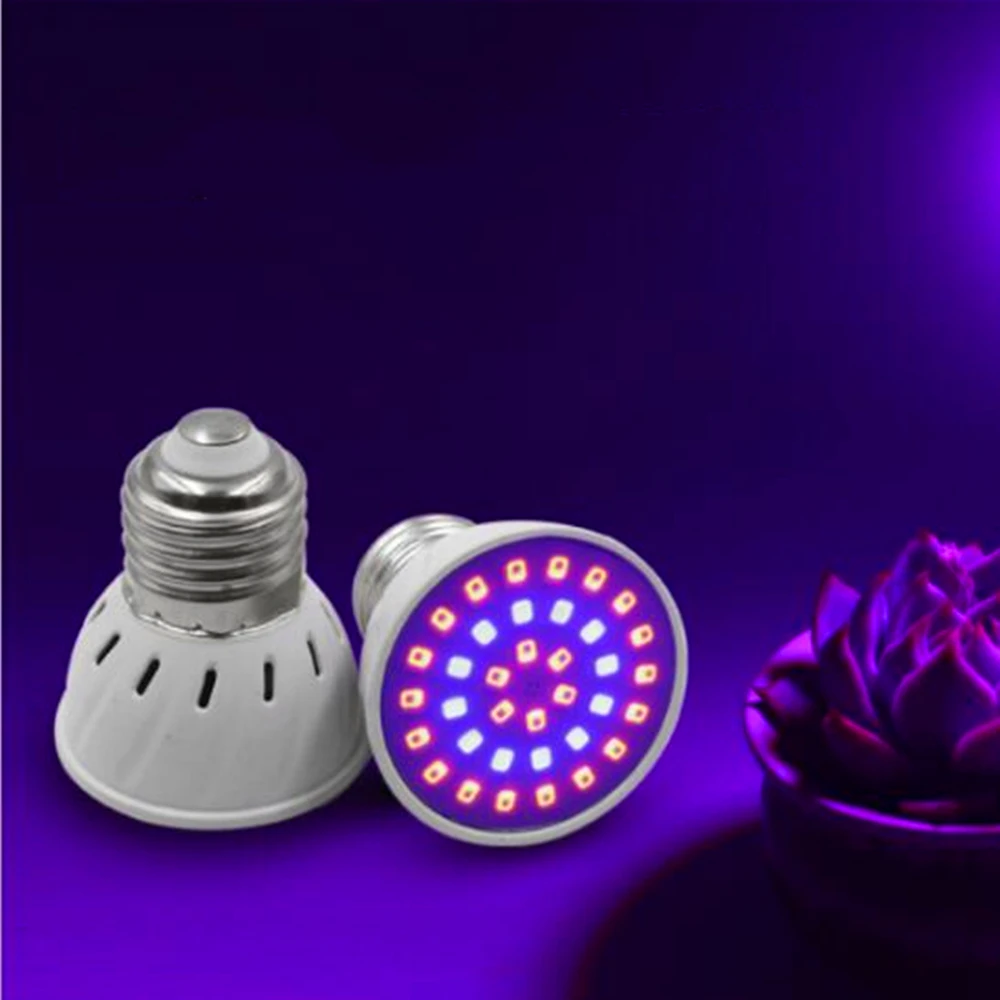 Plant growth lamp LED indoor fleshy 5W plant table lamp clip single head fill light
Plant growth lamp LED indoor fleshy 5W plant table lamp clip single head fill light