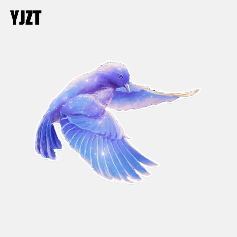 YJZT 14.3*10.6CM Coolest Birds Decor Car Sticker Personalized PVC Colored 11A0240
YJZT 14.3*10.6CM Coolest Birds Decor Car Sticker Personalized PVC Colored 11A0240