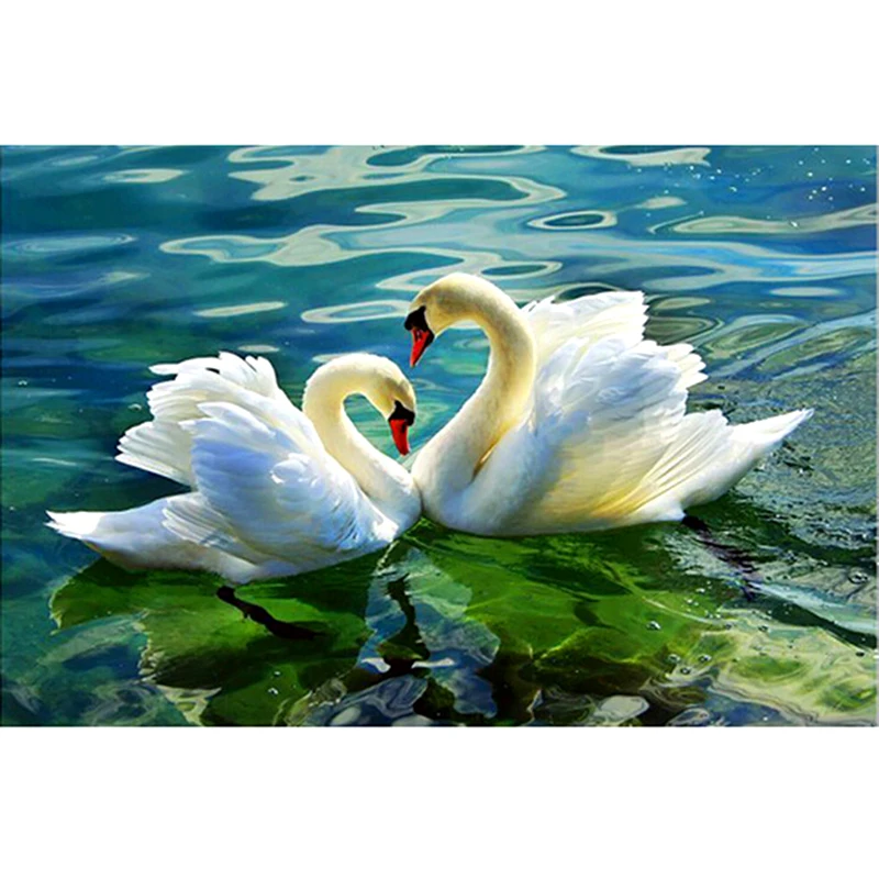 Full Square/Round Drill 5D DIY Diamond Painting "Swan Lake" 3D Embroidery Cross Stitch Mosaic Rhinestone Home Decor gift
Full Square/Round Drill 5D DIY Diamond Painting "Swan Lake" 3D Embroidery Cross Stitch Mosaic Rhinestone Home Decor gift