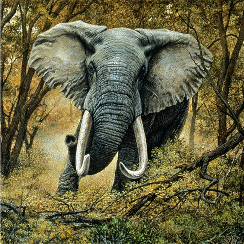 Diamond Paint Peinture 3D Diamond Embroidery Needlework PaiDiamant Diamond Mosaic Paintings Animals Diamond Painting Elephant
Diamond Paint Peinture 3D Diamond Embroidery Needlework PaiDiamant Diamond Mosaic Paintings Animals Diamond Painting Elephant