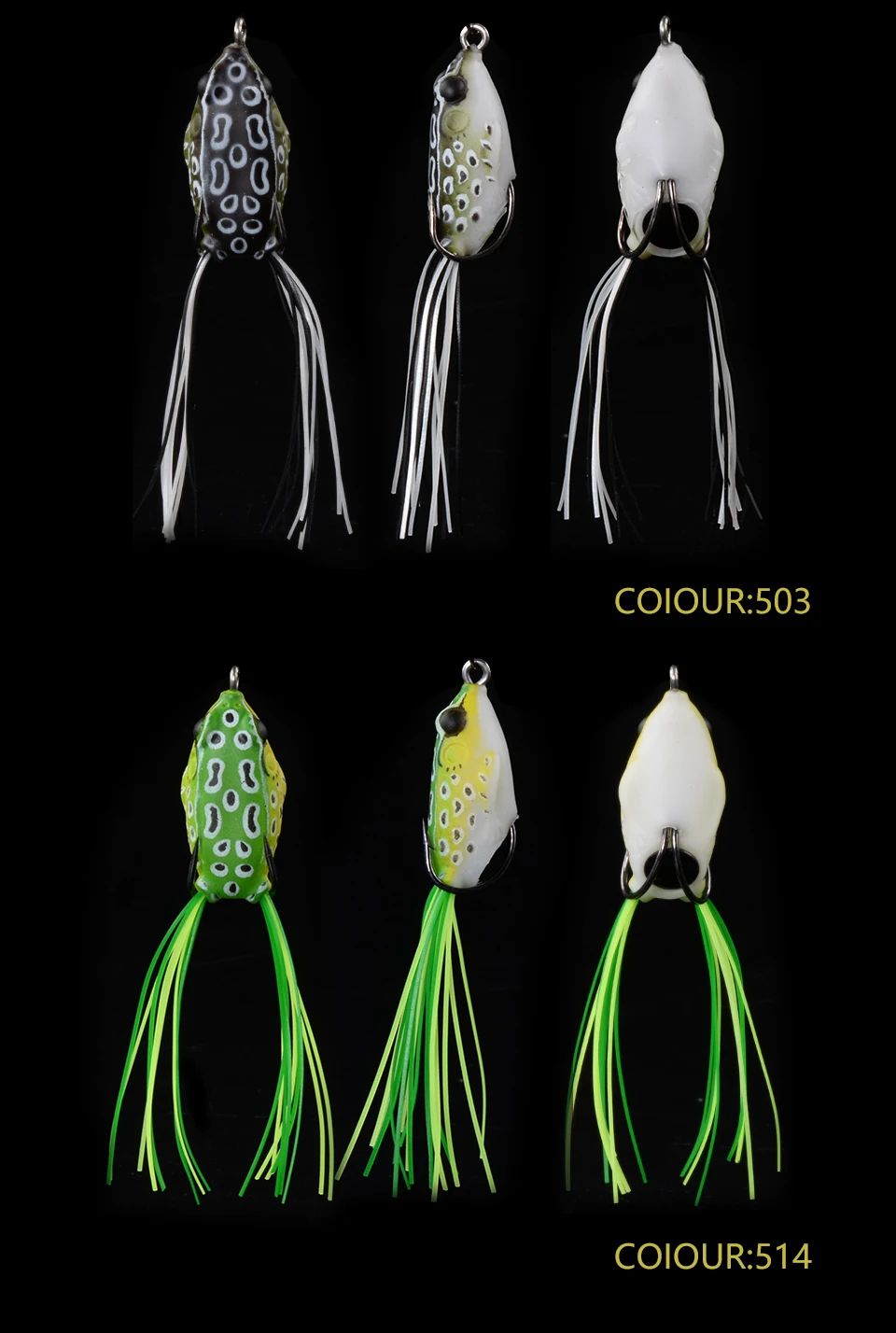LIVE-FROG_09