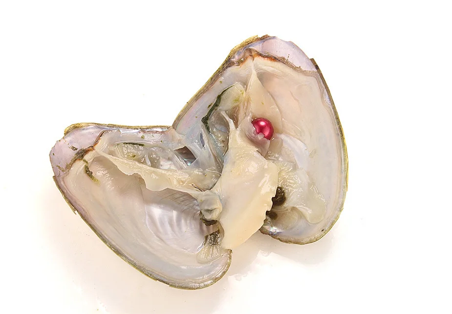 Oyster 100