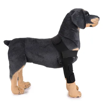 Transer Dog Blue Elbow Protector Extra Supportive Dog Canine Rear Leg Hock Joint Wrap Protects Wounds 19Jan9
Transer Dog Blue Elbow Protector Extra Supportive Dog Canine Rear Leg Hock Joint Wrap Protects Wounds 19Jan9