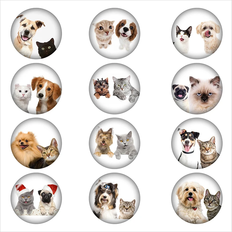 Cat dog friends glass snap button jewelry DIY Round photo cabochons flat back DA1332
Cat dog friends glass snap button jewelry DIY Round photo cabochons flat back DA1332