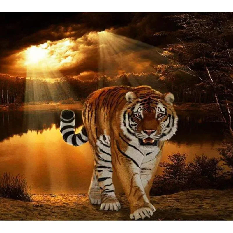 5D Diy Diamond Embroidery Tiger Round Diamond Painting Full square Mosaic Picture Cross Stitch Rhinestone Home Decor v296
5D Diy Diamond Embroidery Tiger Round Diamond Painting Full square Mosaic Picture Cross Stitch Rhinestone Home Decor v296