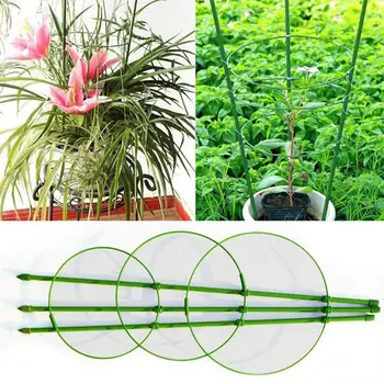Durable Climbing Plant Support Cage Garden Trellis Flowers Tomato Stand with 3 Rings Gardening Tool Tomato Cage 45cm
Durable Climbing Plant Support Cage Garden Trellis Flowers Tomato Stand with 3 Rings Gardening Tool Tomato Cage 45cm