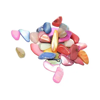 1000g Dyed Natural Shell Chip Beads No Hole Irregular Shell Beads for Necklace Bracelet Jewelry DIY Making 3~9x1~4mm F60 
1000g Dyed Natural Shell Chip Beads No Hole Irregular Shell Beads for Necklace Bracelet Jewelry DIY Making 3~9x1~4mm F60