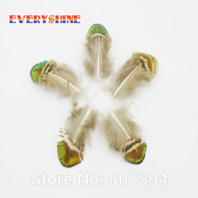 Wholesale Retail 4-8 cm DIY Party Wedding pheasant Golden Peacock feathers jewelry accessories green Precious rare feather IF65
Wholesale Retail 4-8 cm DIY Party Wedding pheasant Golden Peacock feathers jewelry accessories green Precious rare feather IF65