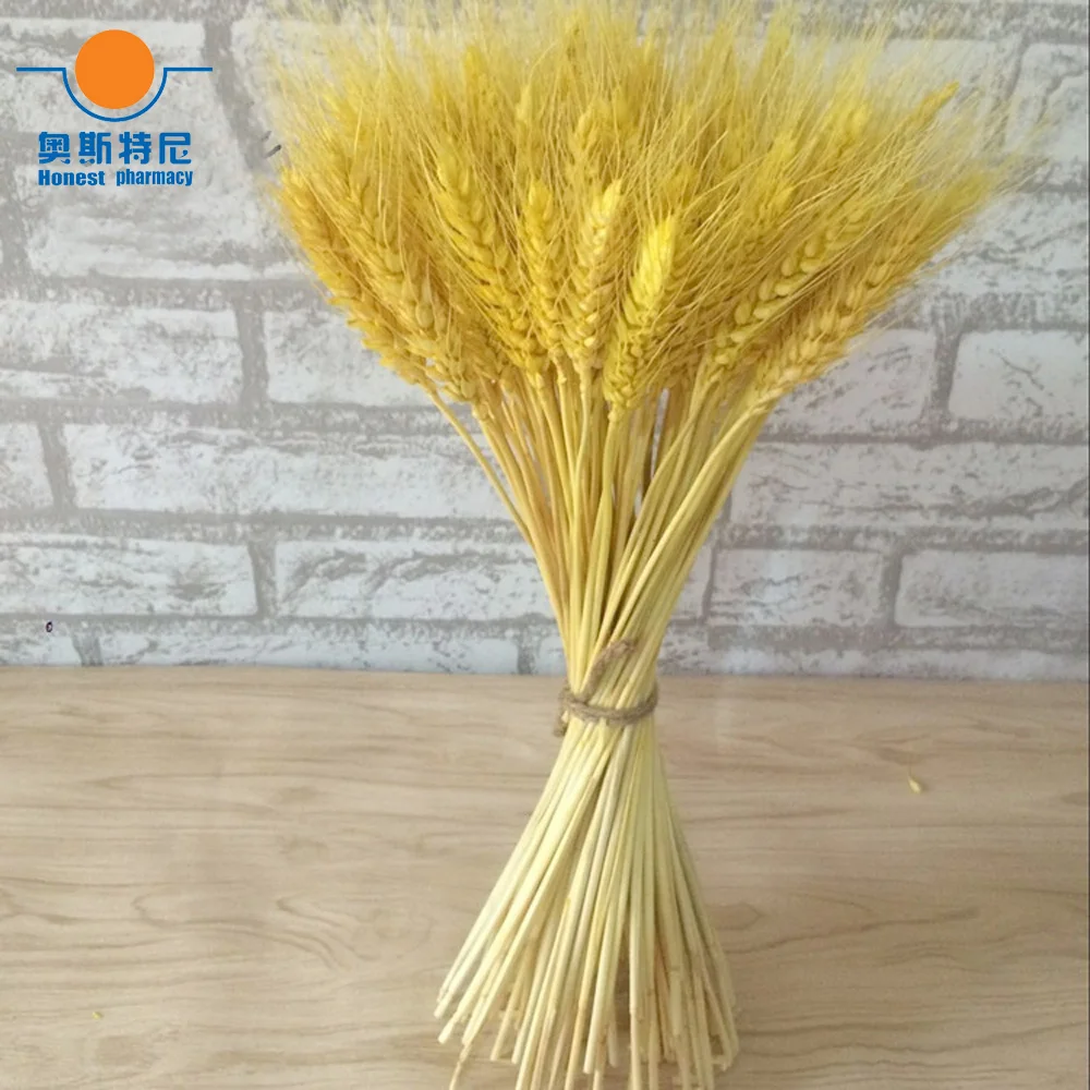 100pcs natural dried flower bouquets natural yellow color dried ear of wheat bouquets&wheat ear Bunches
100pcs natural dried flower bouquets natural yellow color dried ear of wheat bouquets&wheat ear Bunches
