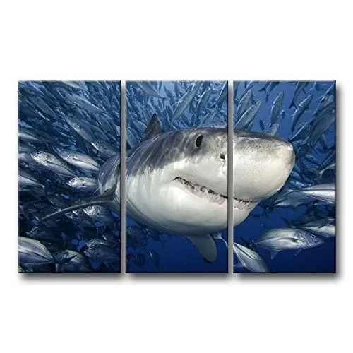 

3 Piece Big Shark Sea Surface Open Mouth In Blue Sea Wall Art Painting The Picture Print On Canvas Animal Pictures For Home