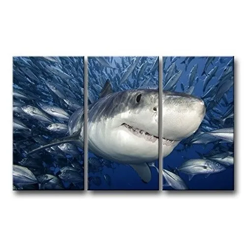 3 Piece Big Shark Sea Surface Open Mouth In Blue Sea Wall Art Painting The Picture Print On Canvas Animal Pictures For Home
3 Piece Big Shark Sea Surface Open Mouth In Blue Sea Wall Art Painting The Picture Print On Canvas Animal Pictures For Home