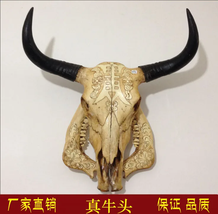 head Arts Crafts Yak skull handicraft, genuine ox head ornament, cattle and sheep skull specimen, characteristic handicraft, ox
head Arts Crafts Yak skull handicraft, genuine ox head ornament, cattle and sheep skull specimen, characteristic handicraft, ox