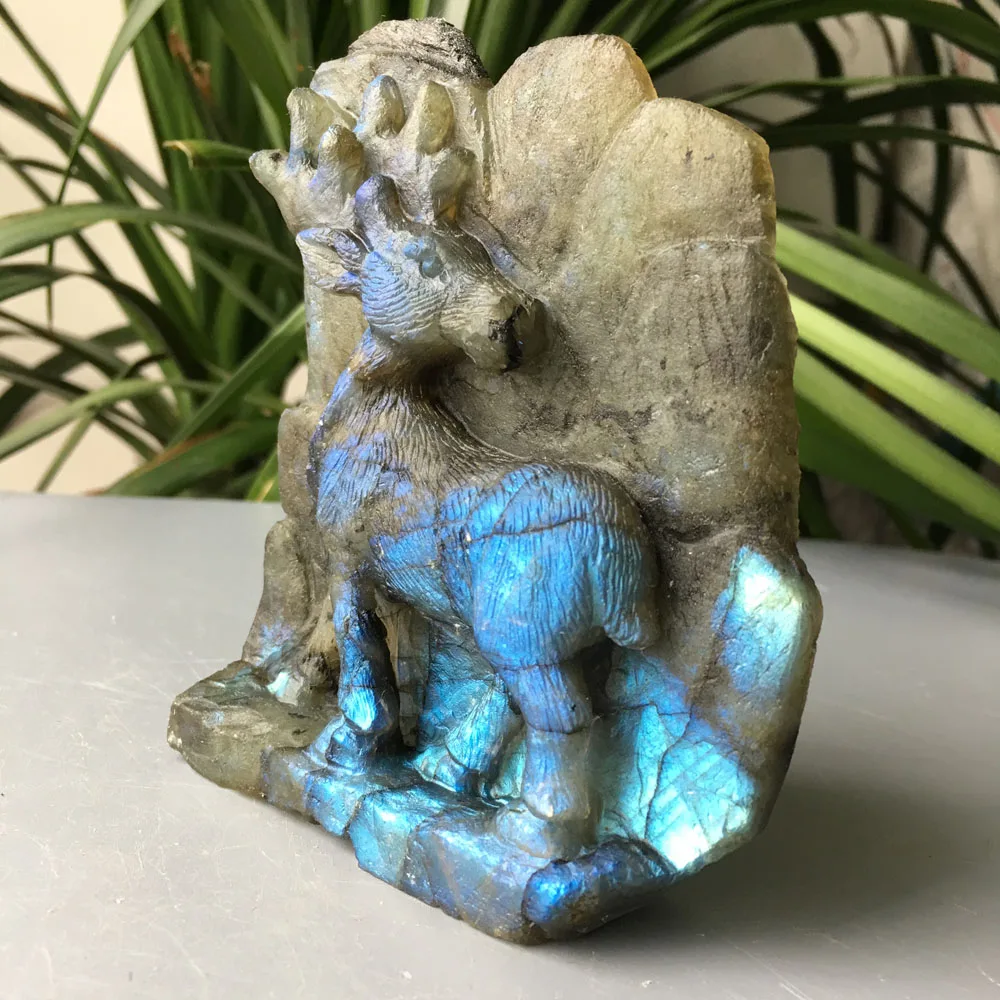 10pcs Wholesale Custom Carving Colorful Labradorite Stone Quartz Crystal big Deer
10pcs Wholesale Custom Carving Colorful Labradorite Stone Quartz Crystal big Deer