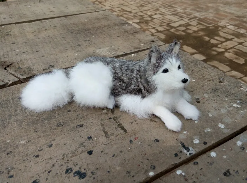Simulation Siberian Husky polyethylene&furs Siberian Husky model funny gift about 30*11CM
Simulation Siberian Husky polyethylene&furs Siberian Husky model funny gift about 30*11CM